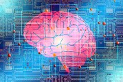 2025长安大学国家专项最低录取线539分创新高