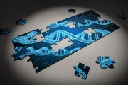 2025年，白银希望职业技术学院的最低录取分数线是多少？你达标了吗？