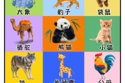 动物早教软件有哪些