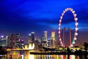 2021新加坡中国留学生回国就业
