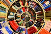 2025年，313分能上哪些公办专科大学？揭秘全国热门院校排名！