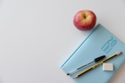 2025年，学绍纳语真的会让人后悔吗？别让语言选择成遗憾！