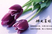 平板桌面布局