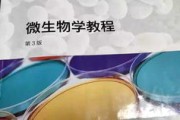 江南大学食品考研专业课怎么学