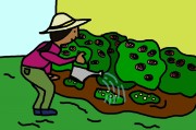 文星艺术大学的漫画课程，究竟藏着怎样的魅力，让无数漫画爱好者趋之若鹜？