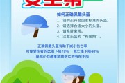 如何安全文明出行