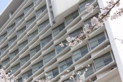 深圳大学大专怎么样？