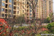 没用过教育优惠额度用完