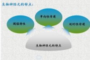 教育策略包括