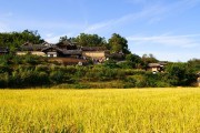 农村大学生在城市，能闯出一片怎样的天地？