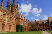 大学的留学项目怎么样
