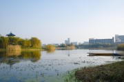 武汉理工VS江南大学，谁才是真正的江南明珠？