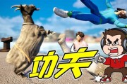 狒狒的绘本