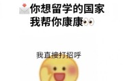 艺术留学中介SIA：为您开启艺术之门