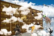 物政地组合，藏着哪些未来最火的专业秘密？