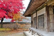 北海道大学的医学究竟有何独到之处，让人心驰神往？