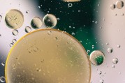 历史类：华东师范大学、东北师范大学、陕西师范大学；物理类：北京师范大学、南京师范大学、华中师范大学