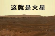 一、执行摘要