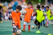 幼儿园早教课程数学
