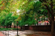 想了解哪些中医药大学在历史和物理领域独树一帜？