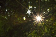 夏威夷大学，哪个专业能点燃你的未来火花？