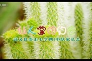 武义晨曦早教电话