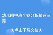 大班个案分析篇——深化教育理解，提升教学质量