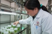 广西大学兽医专业，揭秘动物健康的守护者，你准备好加入这场生命守护之旅了吗？