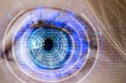2024年冀中职业学院在河北的录取线，你过线了吗？