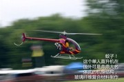 直升机驾照培训费用