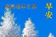 通过下雪祝福考研