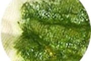 婴儿大便绿色有粘液