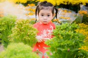 2025年中北大学在陕西的录取分数线，你排第几？历年位次，谁能一跃而上？