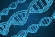 2025年，哪些高校的生物医学工程专业独领风骚，分数线又是多少？