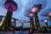 园林技术，未来有哪些精彩职业等你来探索？