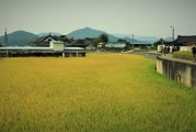 哪个学院更胜一筹，甘肃民族师范学院还是吉林农业科技学院？一探究竟！