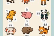 可爱插画教程儿童早教
