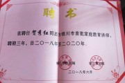 中国早教专家