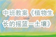 早教课程都有哪些内容0