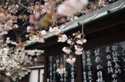 2025年，485分能上哪些公办本科？揭秘全国热门大学排名！
