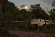 丰家山农贸市场