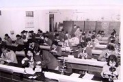 50年代的教育：回顾与思考