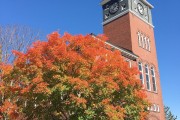 上海普利茅斯大学，究竟隐藏着怎样的魅力？
