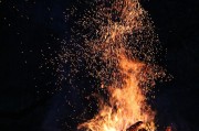 吉林生物制药专业本科，最低410分就能上？热门专业录取门槛！