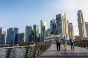 绽放在花园城市的骄傲，新加坡国花—胡姬花