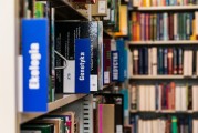 卧龙岗大学留学申请，你准备好了吗？揭秘名校之路！