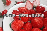 早教园朋友圈文案