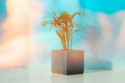 湖北物流技术专科，303分就能入读？热门专业录取门槛！