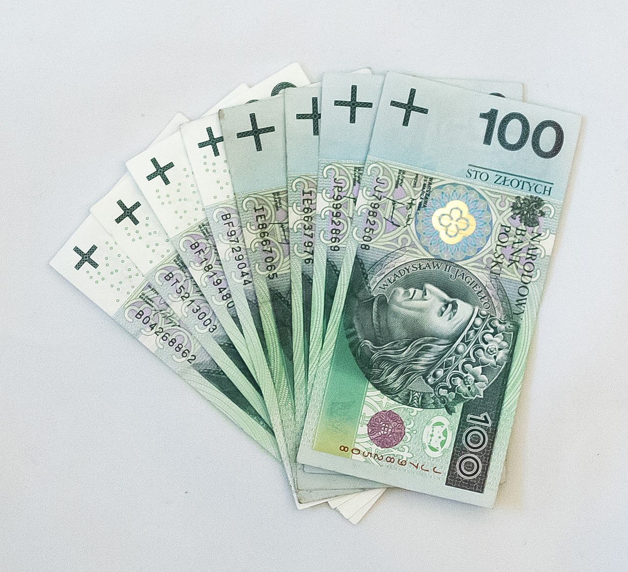 教育局开启专升本报名通道