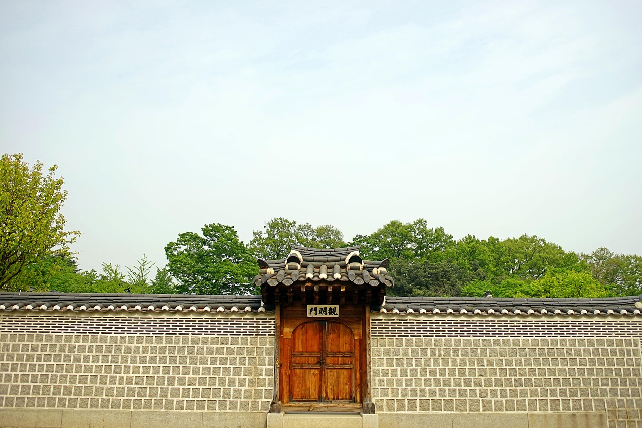 医学研究生，探索生命的奥秘与挑战
